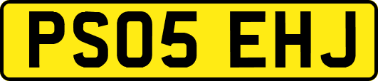 PS05EHJ