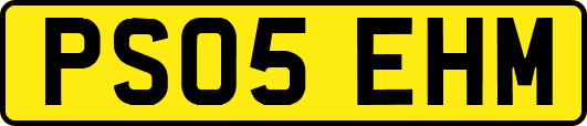 PS05EHM