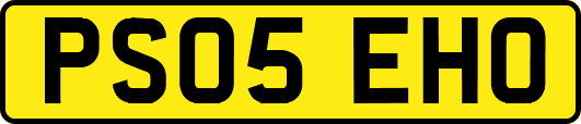 PS05EHO