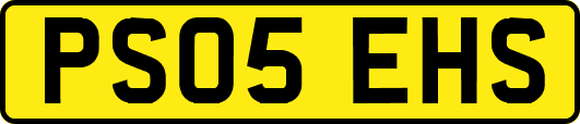 PS05EHS