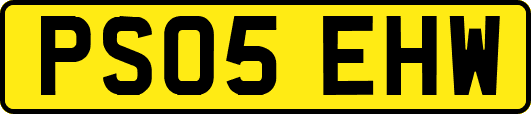 PS05EHW