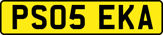 PS05EKA