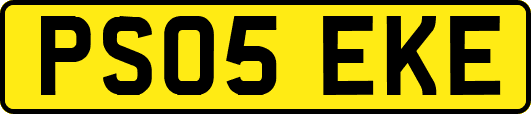 PS05EKE