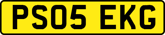 PS05EKG