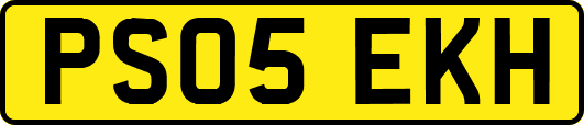 PS05EKH