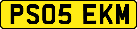 PS05EKM