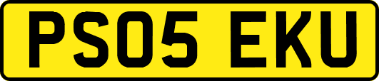 PS05EKU