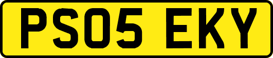 PS05EKY