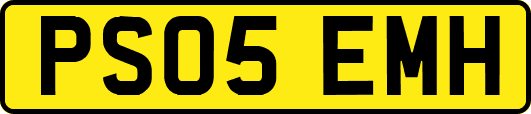 PS05EMH