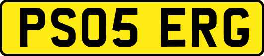PS05ERG