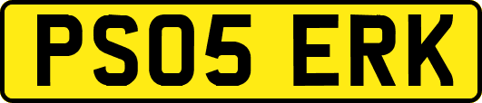 PS05ERK