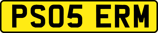 PS05ERM