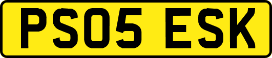 PS05ESK
