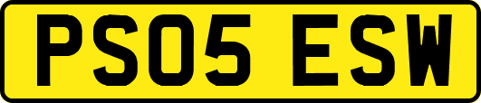 PS05ESW