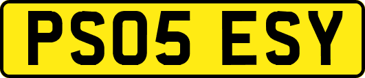 PS05ESY