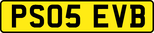 PS05EVB