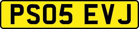 PS05EVJ
