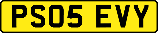 PS05EVY