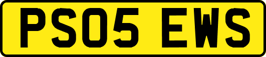 PS05EWS