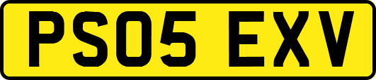 PS05EXV