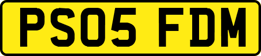 PS05FDM