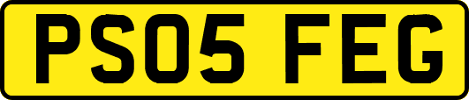 PS05FEG