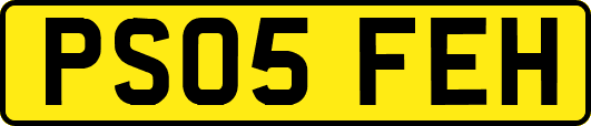 PS05FEH