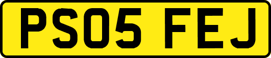 PS05FEJ