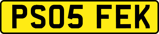 PS05FEK
