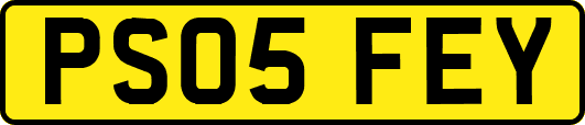 PS05FEY