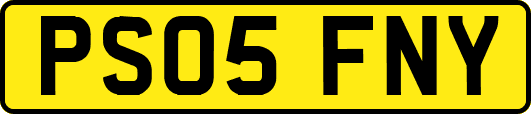 PS05FNY