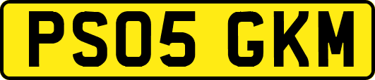 PS05GKM