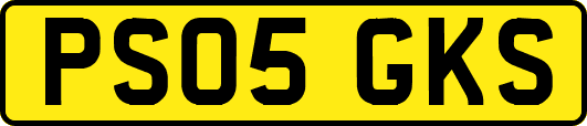 PS05GKS