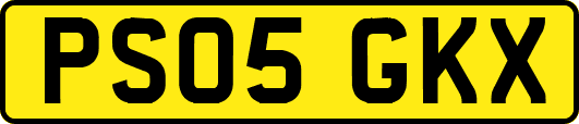 PS05GKX