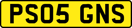 PS05GNS