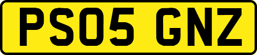 PS05GNZ