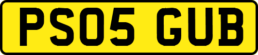 PS05GUB