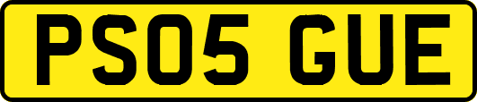 PS05GUE