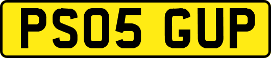 PS05GUP