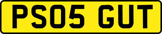 PS05GUT
