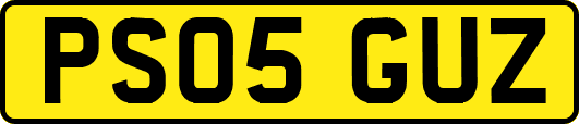 PS05GUZ