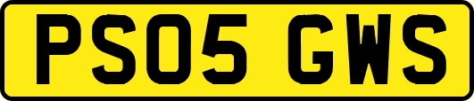 PS05GWS