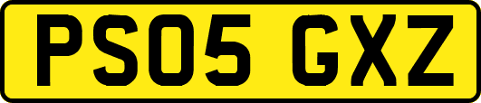 PS05GXZ