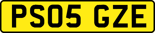 PS05GZE