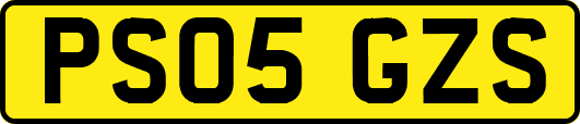 PS05GZS