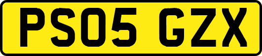 PS05GZX