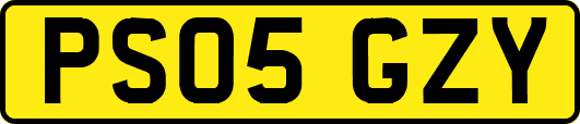 PS05GZY