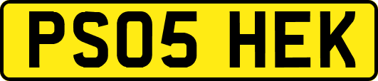 PS05HEK