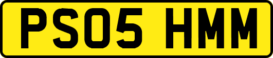 PS05HMM