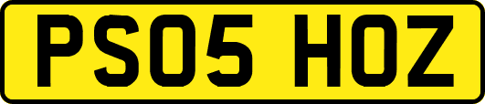 PS05HOZ